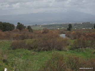 lle del Simeto-24-02-2013 11-31-20
